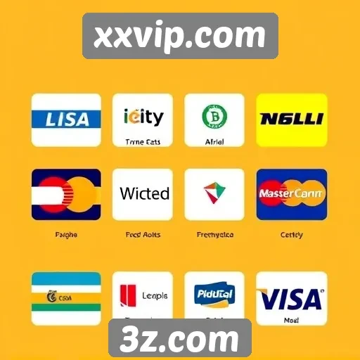 Métodos de pagamento aceitos no xxvip.com